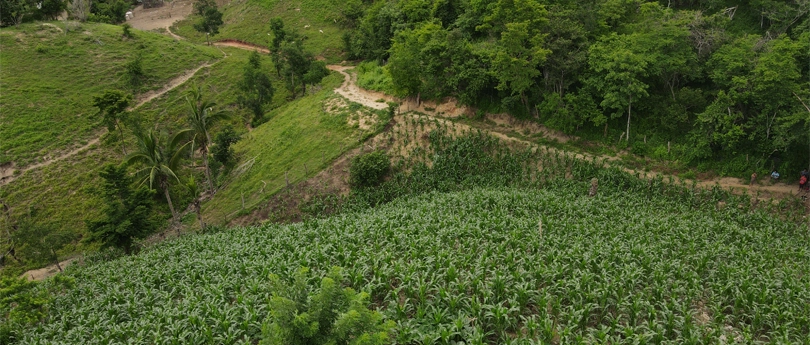 visit-our-beautifulbeachside-center-in-mexico-slider-3