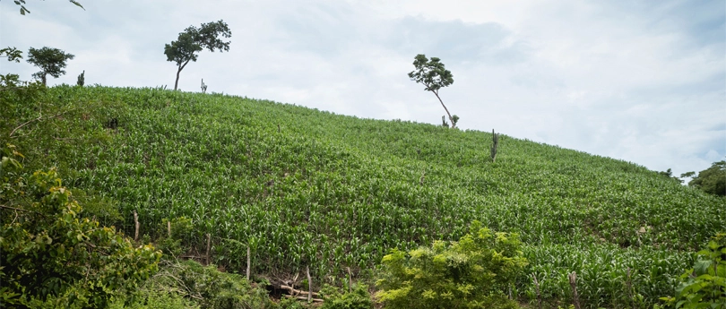 visit-our-beautifulbeachside-center-in-mexico-slider-6