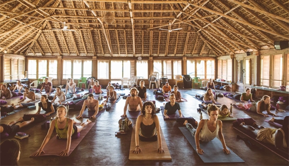 3_hatha_yoga_bhujangasana