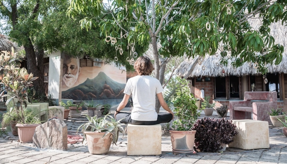 6_meditation_ramana_mango_tree