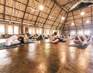 3_hridaya_yoga_modules