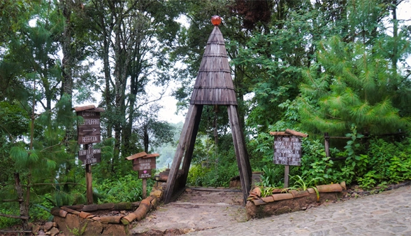 4_surrender_in_solitude