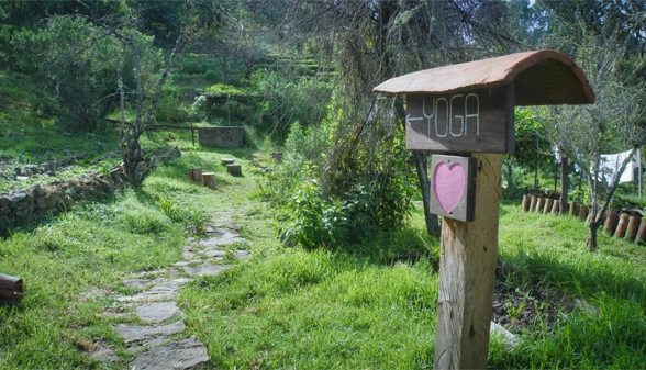 5_practice_yoga_in_openess