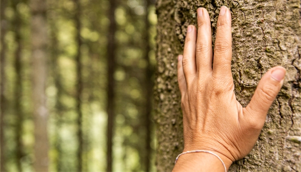 7_pranayama_techniques