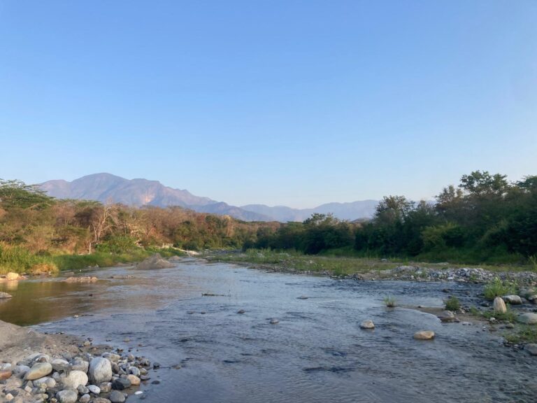 Landscape Photo 1