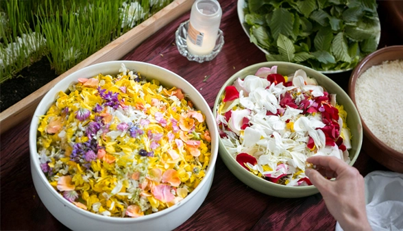 10_cultivate_a_way_of_seeing