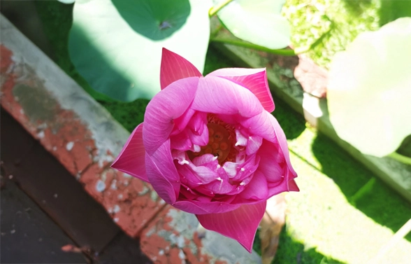 11_understand_the_elements_within_you