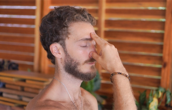 5_foundational_principles_of_ayurveda