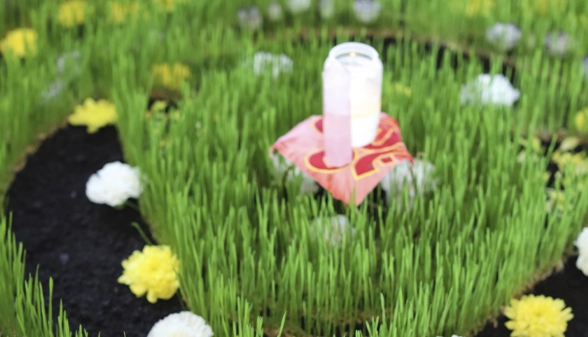 7_learn_clarity_from_confusion