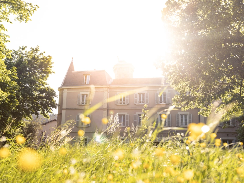 hridaya yoga france vipassana compared