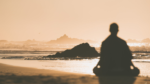 what to expect vipassana meditation retreat hridaya compared